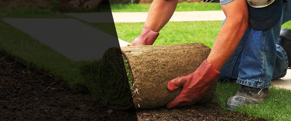 Orleans Landscapers